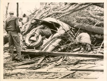 Several men search a car crushed by a large tree.